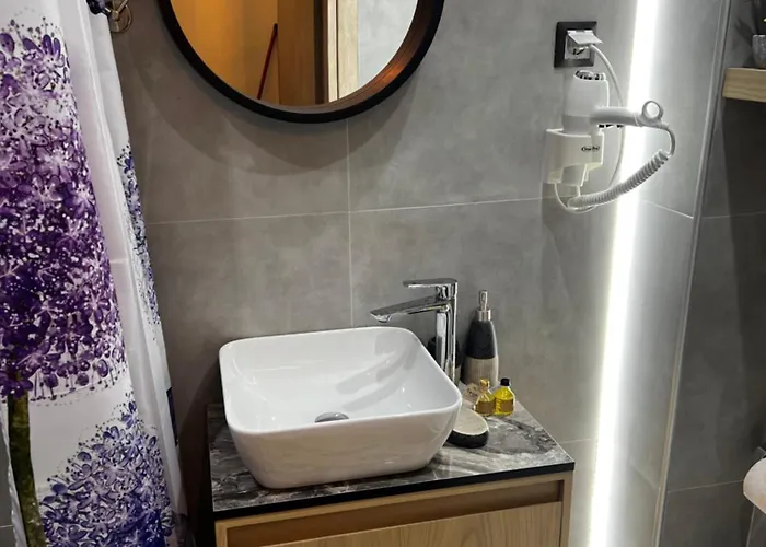 Apartament Elnef *